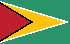 Guyana flag