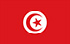 Tunisien flag